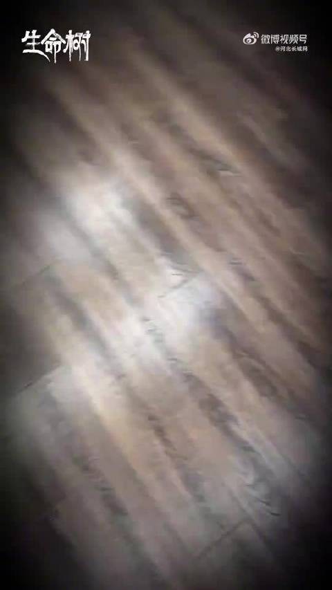 白菊警官@杨紫 来给大家送祝福啦！你准备好接收了？