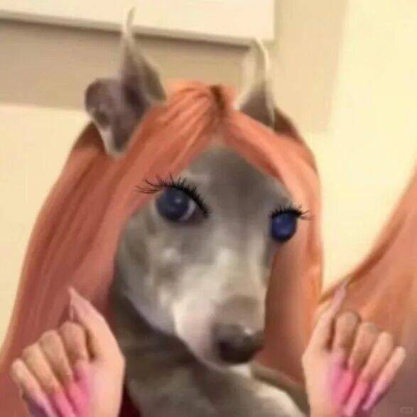 《速度与激情11》定档;剧版《哈利·波特》即将开播