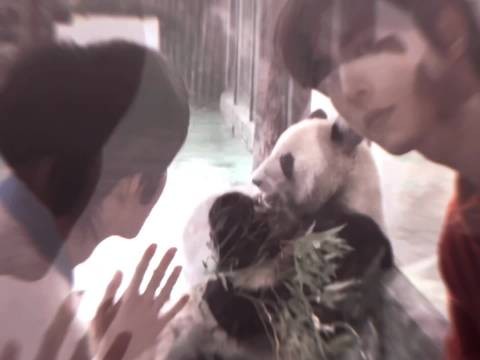 两个人在一起，最动人的，不是盛大告白，而是细水长流的陪伴！