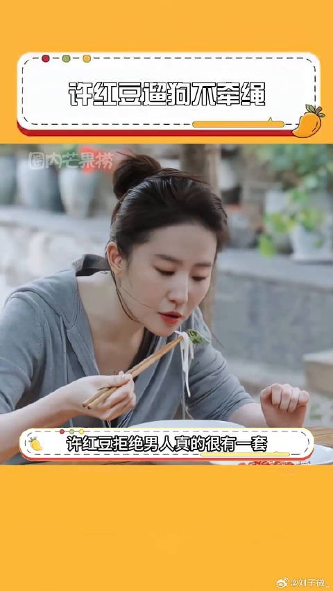 一种很新的狗，方便好操作在家就能遛刘亦菲 去有风的地方