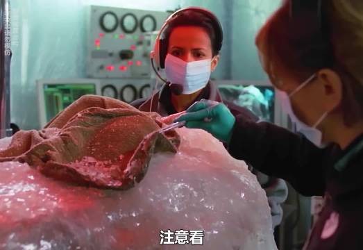 女人在北极被冰冻五万年，科学家一看竟然还有心跳