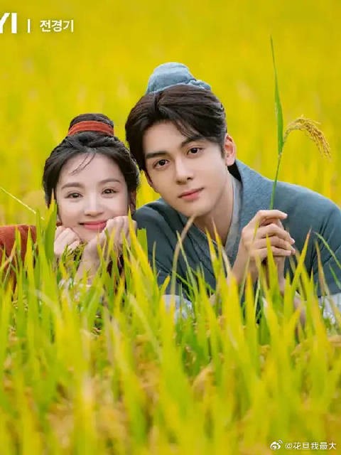 被剧情创伤了！轻喜剧变气人剧！