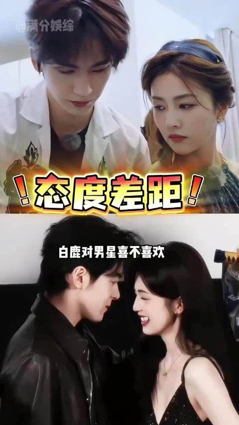 白鹿与曾舜晞娇羞同框，同王鹤棣热聊，对张凌赫显家属感