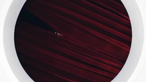 idol进欧美圈究竟有多卑微? lisa rose朴彩英 blackpink