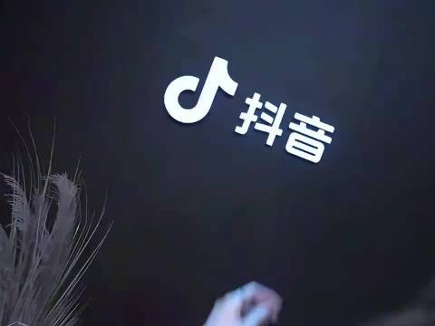 井川里予晒比基尼照引热议