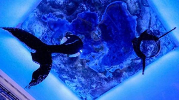 两条巨型座头鲸跃入浦美中央展厅，开启全球首展