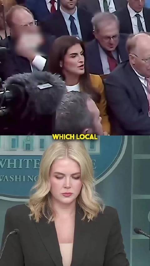 冤家路窄，冷嘲热讽，白宫卡罗琳与CNN记者凯特琳日常互怼