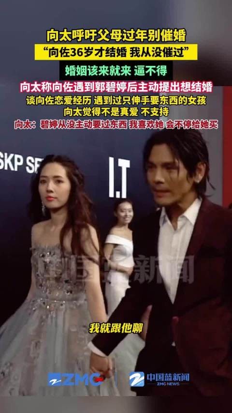 向太称从没催过向佐结婚