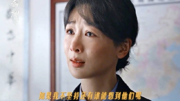 “过往的那些真相,不应该被草草埋葬” 杨紫白菊