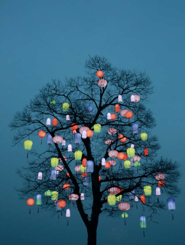 一整天超5万人,西溪灯会人潮如织,夜景引赞叹