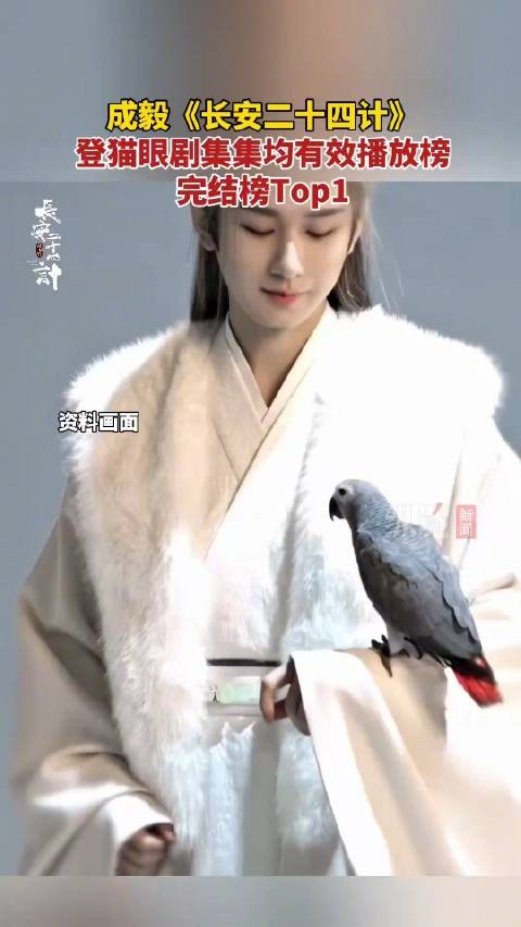成毅长安二十四计播放量领跑：集均有效播放完结榜TOP1！