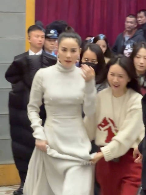 王菲春晚造型惊艳亮相