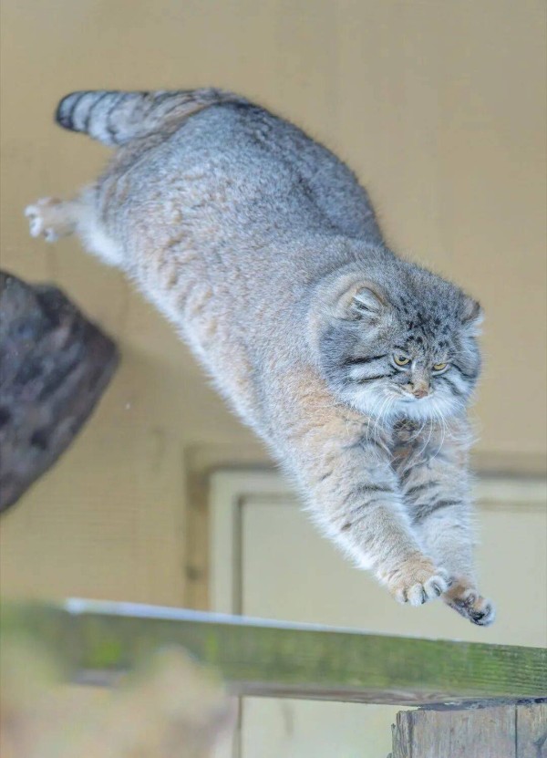 有商有量，好好说话，结果导向的神仙夫妻是怎么相处的？