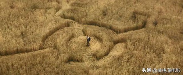 好莱坞突然集体拍UFO电影：斯皮尔伯格也下场了，真相要公开了？