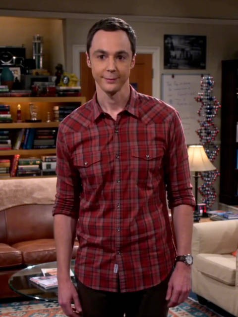 《生活大爆炸》今秋回归荧幕，谢耳朵喊你收看