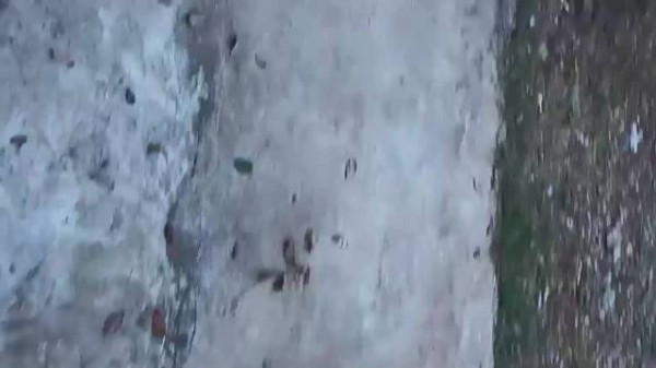 李丽珍的经典作品，真是百看不厌！