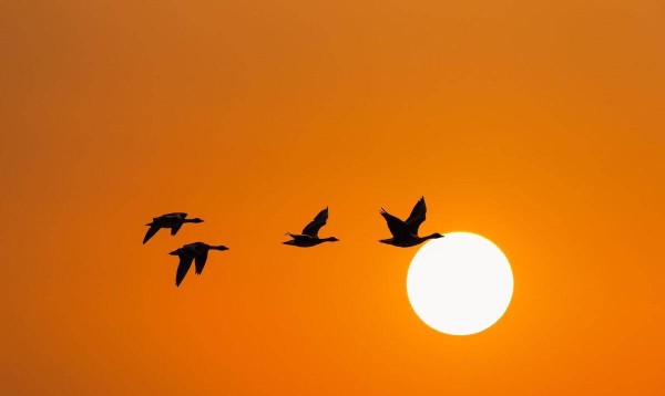 范仲淹的这首渔家傲，生动刻画了古代边关将士们的生活场景