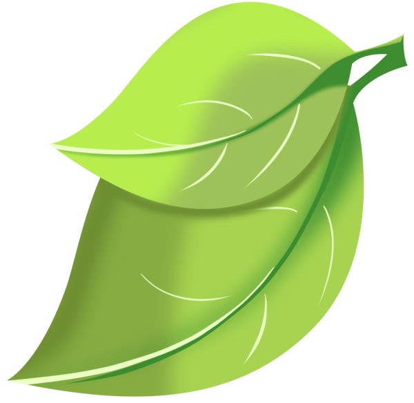 《蛙》:生育与忏悔,一部触动千千万万国人的灵魂之作