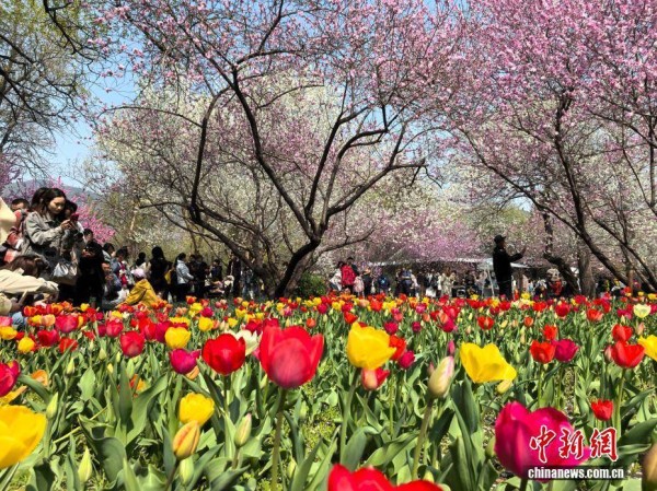 清明假期 各地民众踏青享受户外时光