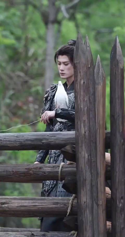 檀健次片场遇鸽受惊,戏内外反差萌态尽显