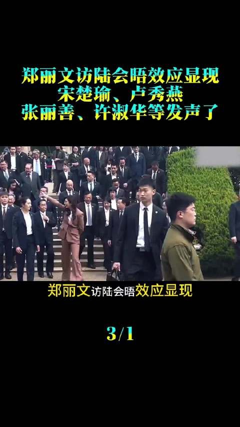 郑丽文访陆会晤效应显现，宋楚瑜、卢秀燕、张丽善、许淑华等发声了