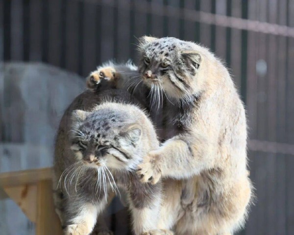 妹妹不想结婚后降低生活标准,和男友分手了,现在被家里人指责,她有错吗?