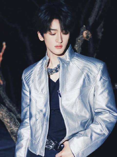 邓佳鑫入围30佳青年歌手