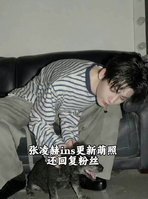 还回复粉丝 我还没狗狗 太可爱了吧？