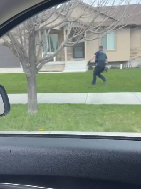 猪sir！您被捕了！