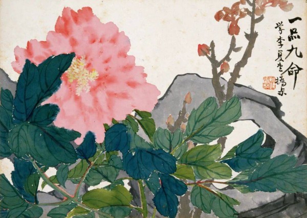 赵之谦：凭“植觉”，画出了世界缤纷