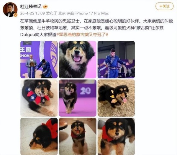 霍思燕再传喜讯，杜江发文