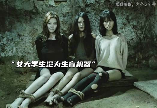 三个女大学生被困荒岛密室，如何逃生？2026最新悬疑惊悚电影