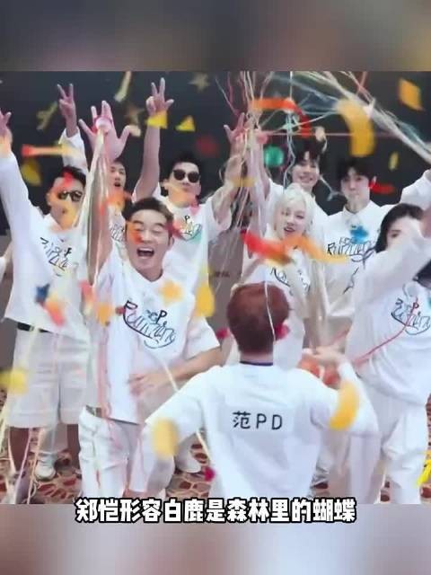 郑恺说白鹿是蝴蝶 两个人关系明明很好啊 白鹿