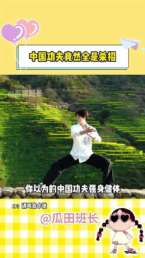 中国功夫还是过于低调！ 科普