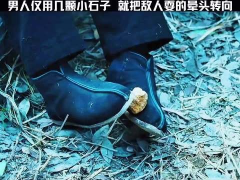用几颗小石子就能改变敌人的方向，智慧胜过蛮力