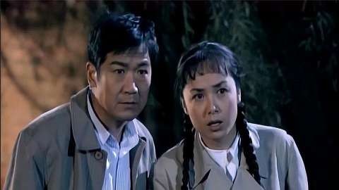 佟志和文丽夜里捡废铁，却发现大庄和梅梅在一起，误会大了