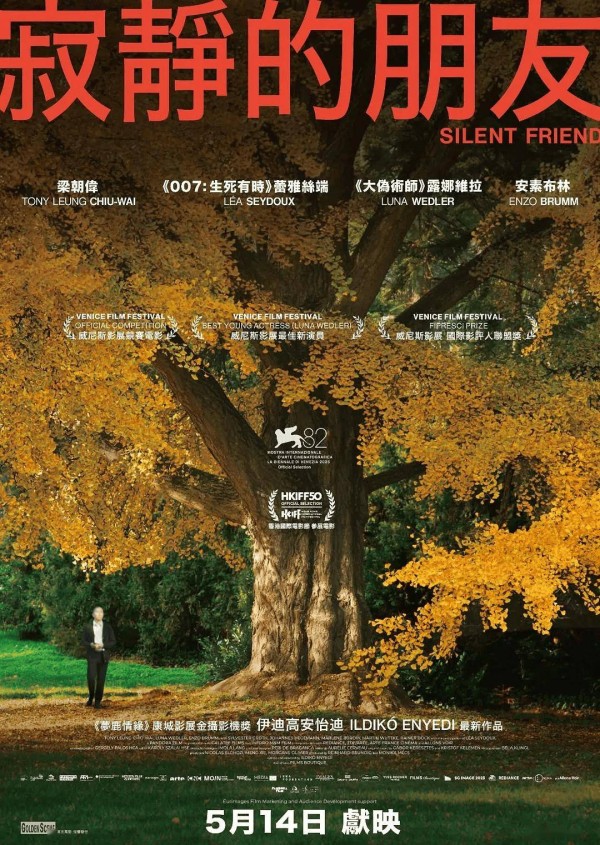 梁朝伟与《寂静的朋友》带给我们的哲学思考……