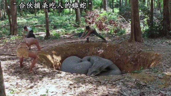 精心设计捕杀吃人巨蟒，没想到结果会是这样，真可怕