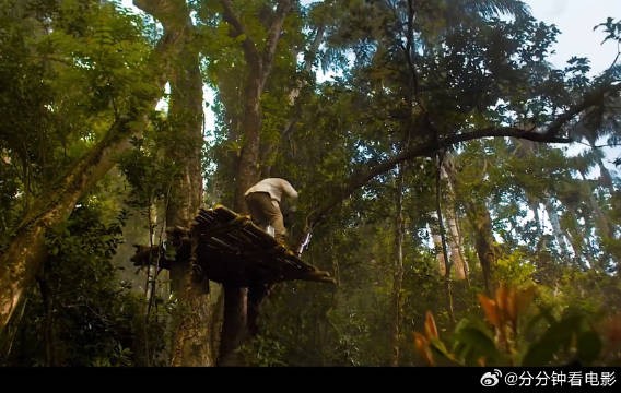 男人徒手抓到豹子却不料运输的时候豹子跑了出来