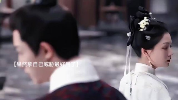 侯府遭难叶限为保家业抉择艰难