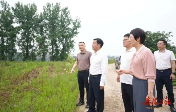 李挚督导生态环境保护工作