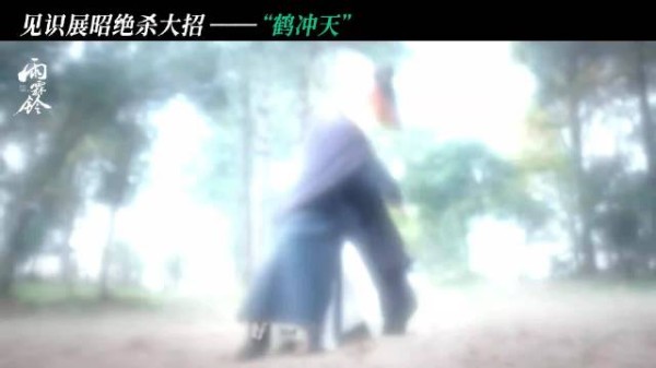 这招式取名看得出来编剧的中二时期还没过啊