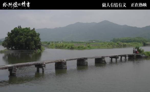 南枝熟悉塘西村细节引热议,淑柔生活场景如数家珍
