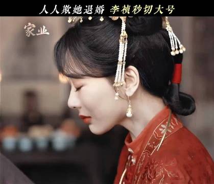 杨紫新剧《家业》聚焦徽墨传承，诠释女性经商故事