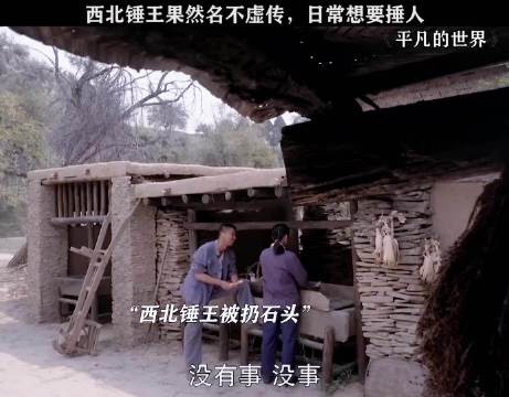 王雷拒演平凡的世界西北锤王,吕一贺秀莲引热议