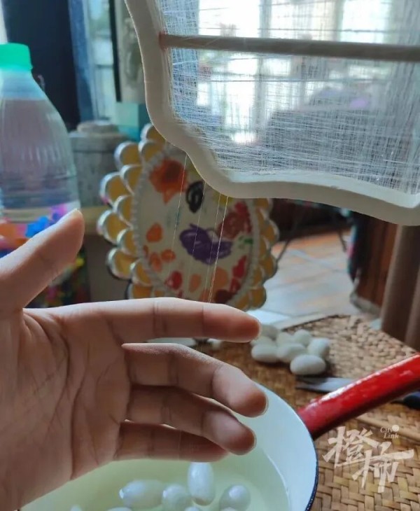 阮女士家自制的蚕丝扇。