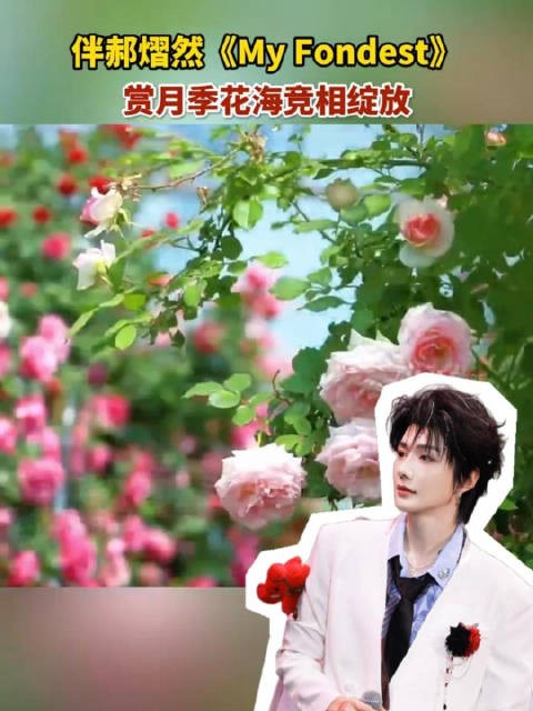 用郝熠然歌声打开浪漫花海