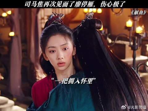 司马焦再次见到了廖停雁,伤心极了