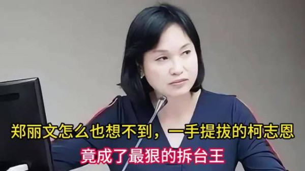 郑丽文力挺柯志恩参选高雄反遭拆台，选情暴跌16%