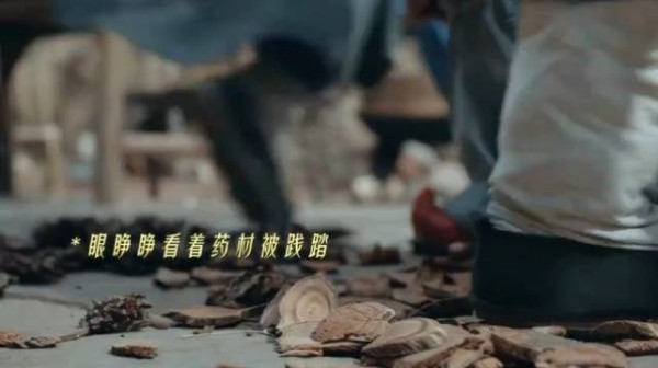 景东叔与四叔母抢夺践踏李祯药材引众怒